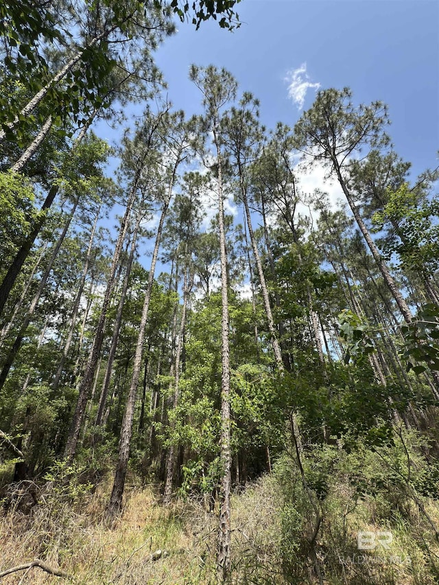 OO County Road 87, Elberta, AL 36530
