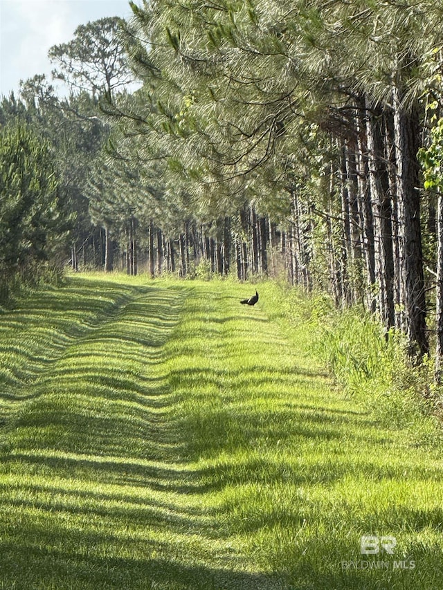 OO County Road 87, Elberta, AL 36530