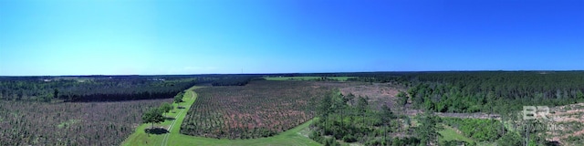 OO County Road 87, Elberta, AL 36530