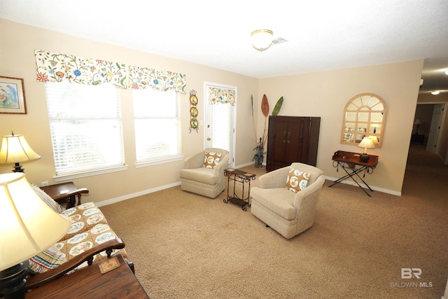 living area featuring carpet