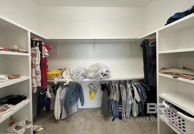 4844 E Cypress Loop, Orange Beach, AL 36561 - spacious closet featuring carpet floors