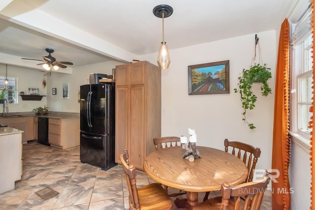 dining space with a healthy amount of sunlight