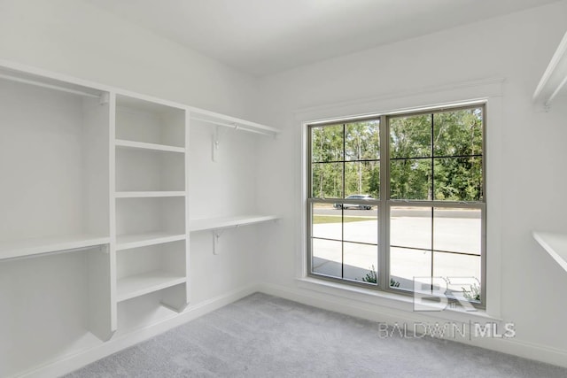 walk in closet featuring carpet floors