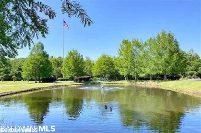 view of water feature