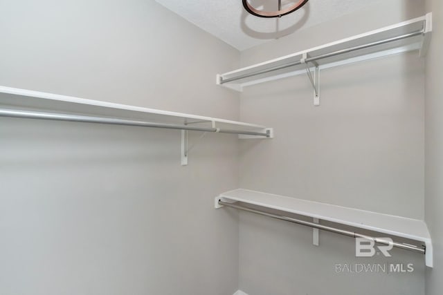 view of walk in closet