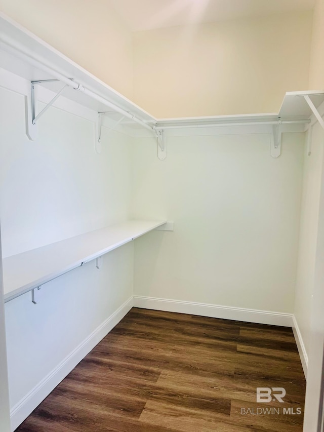2663 Demetropolis Rd, Mobile, AL 36693 - walk in closet featuring dark wood finished floors