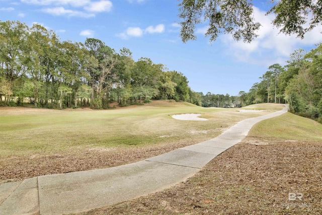 view of community with a yard