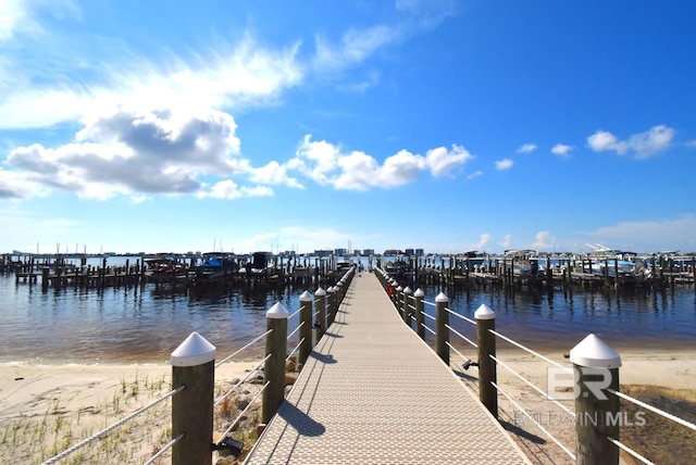 dock area with a water view
