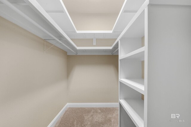 36 Lagoon Dr, Gulf Shores, AL 36542 - spacious closet with carpet floors