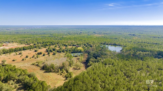 Listing photo 3 for 0 Kings Landing Rd, Seminole AL 36574