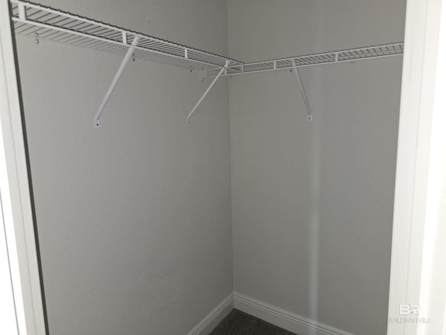 23035 Ridgewood Dr, Robertsdale, AL 36567 - view of spacious closet