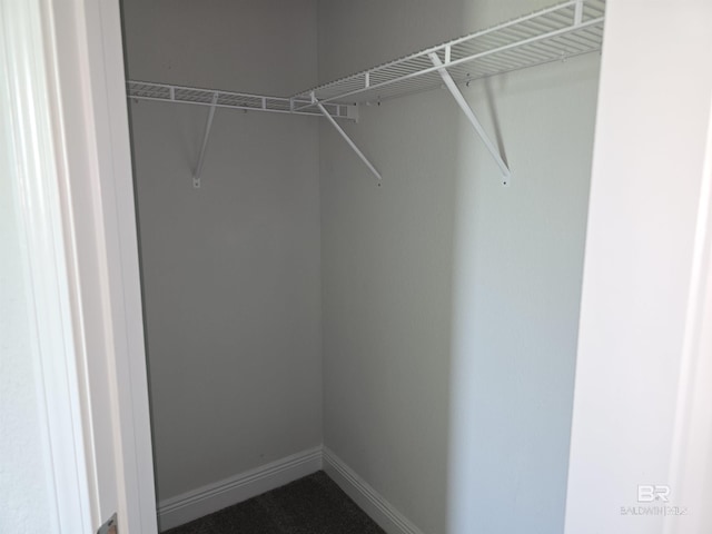 23035 Ridgewood Dr, Robertsdale, AL 36567 - view of spacious closet