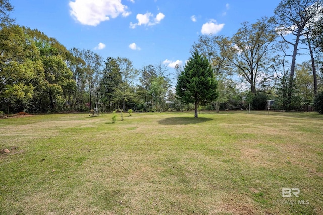 view of yard