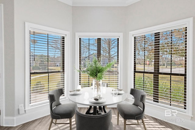 dining space featuring hardwood / wood-style flooring and a wealth of natural light