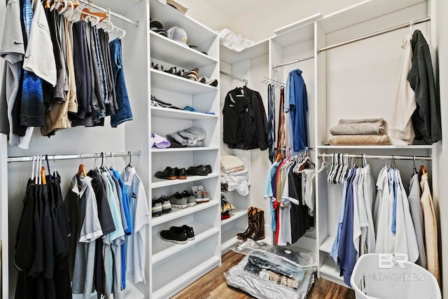 spacious closet featuring wood-type flooring