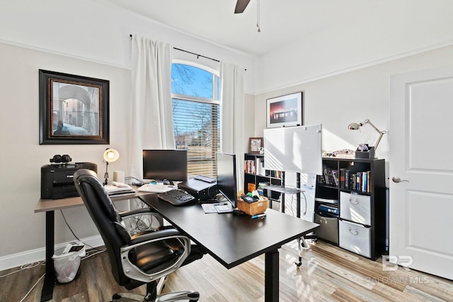 office space featuring ceiling fan and light hardwood / wood-style floors