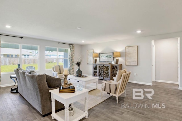 living room with hardwood / wood-style flooring