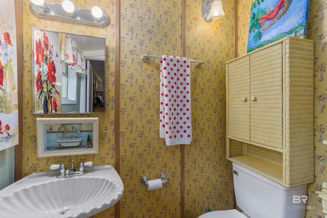 bathroom with sink and toilet