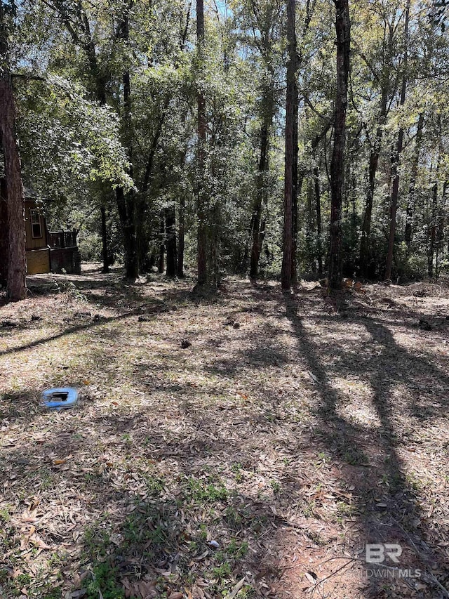 Listing photo 3 for 0 Victorian Dr, Fairhope AL 36532