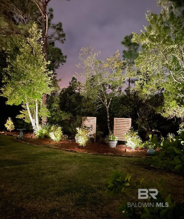 view of yard at dusk