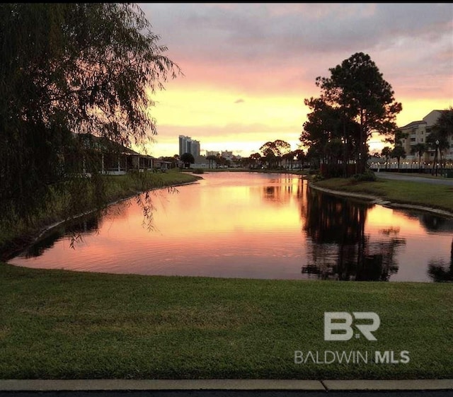 property view of water