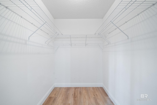 spacious closet with hardwood / wood-style floors