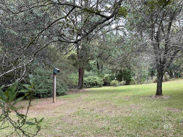 view of yard featuring a forest view