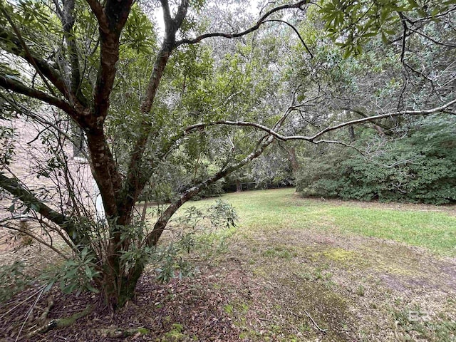 view of yard featuring a view of trees