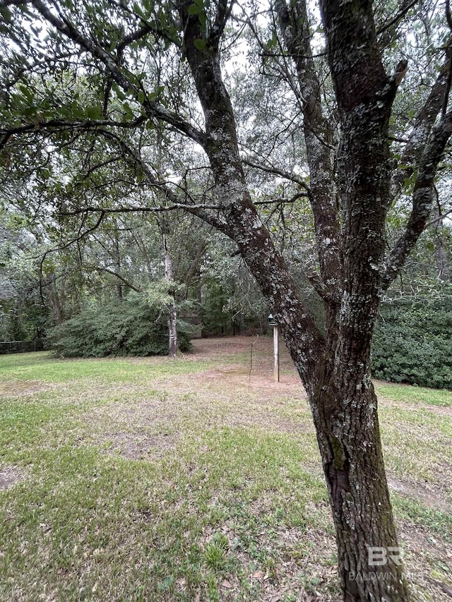 view of yard featuring a wooded view