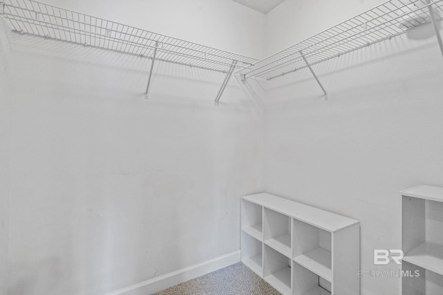 25391 Monarch Ct, Loxley, AL 36551 - spacious closet featuring carpet flooring
