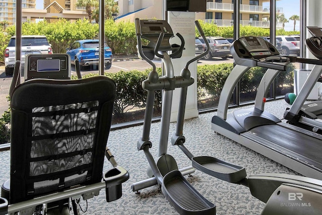 24900 Perdido Beach Blvd Unit 1506, Orange Beach, AL 36561 - gym featuring carpet floors