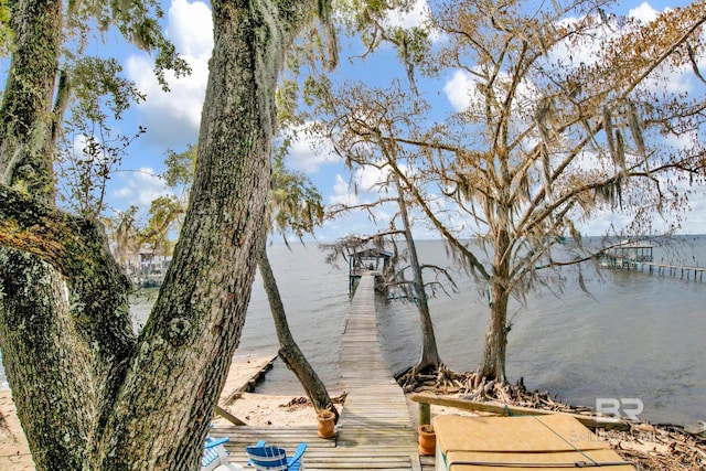 dock area with a water view