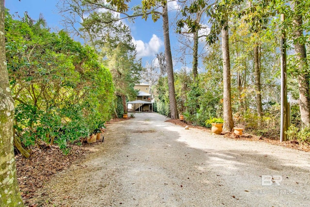 view of street featuring dirt driveway