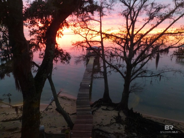 property view of water with a boat dock