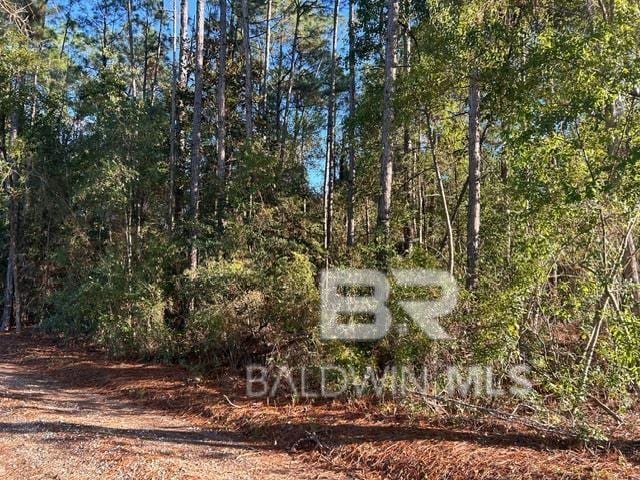 0 Wilson Rd, Elberta, AL 36530