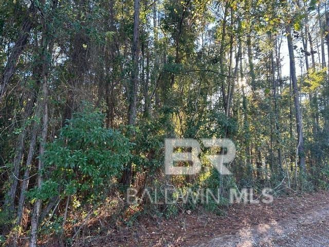 0 Wilson Rd, Elberta, AL 36530