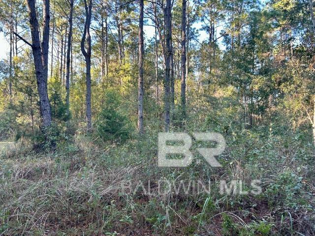 0 Wilson Rd, Elberta, AL 36530