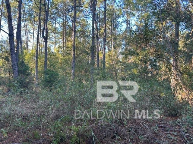0 Wilson Rd, Elberta, AL 36530