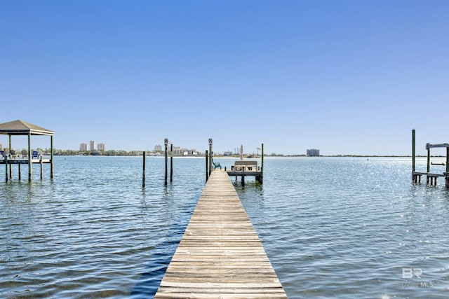 dock area with a water view