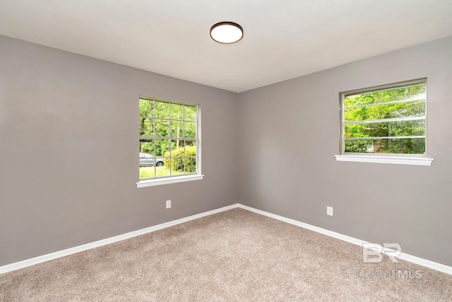 empty room featuring carpet floors