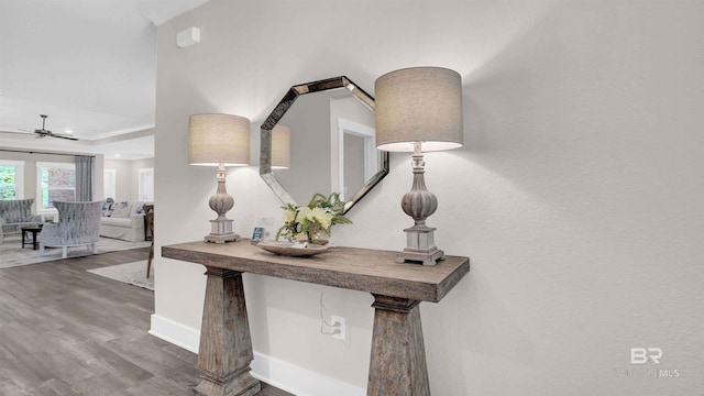 11529 Thistledown Loop, Spanish Fort, AL 36527 - hall featuring wood finished floors, baseboards, and a tray ceiling
