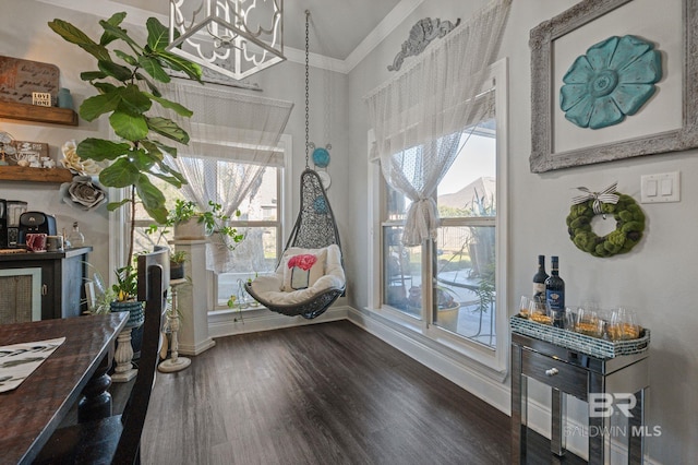 interior space featuring baseboards and dark wood-style flooring