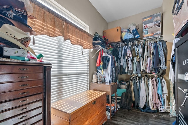 walk in closet featuring wood finished floors