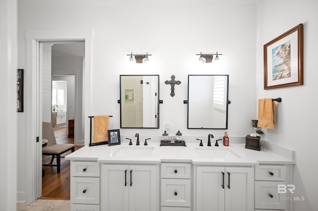 full bathroom featuring a sink, a shower, and double vanity