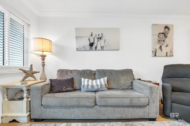 living area featuring ornamental molding and wood finished floors