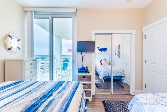 bedroom with multiple windows, access to outside, dark hardwood / wood-style flooring, and a closet