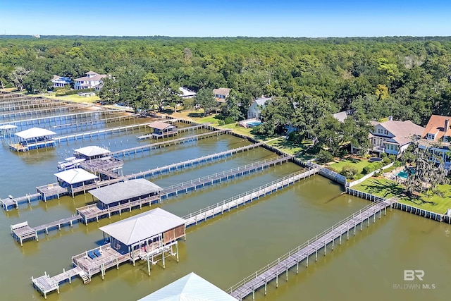 aerial view featuring a water view and a view of trees