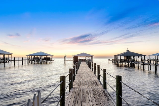 dock area with a water view