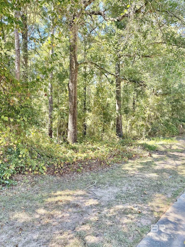 14149 Greeno Rd, Fairhope AL, 36532 land for sale