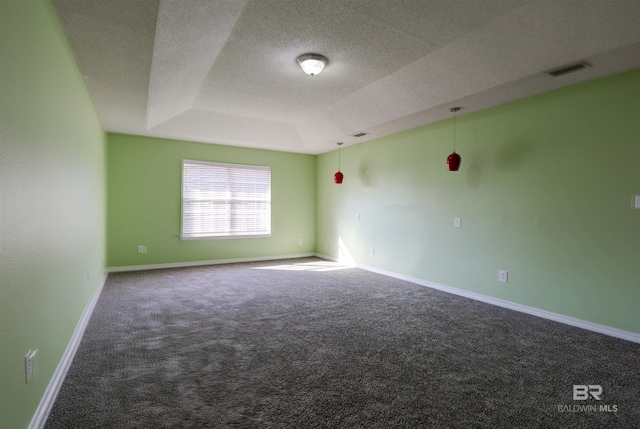 spare room featuring a textured ceiling, carpet flooring, and a raised ceiling